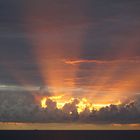 Sonnenaufgang auf Usedom I