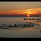 Sonnenaufgang auf Usedom2