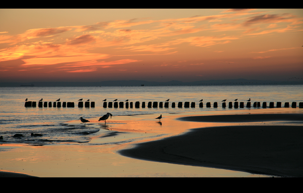 Sonnenaufgang auf Usedom3