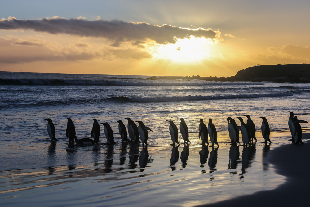 Sonnenaufgang  auf Volunteer Point