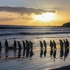 Sonnenaufgang  auf Volunteer Point