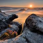 Sonnenaufgang | Aus unserem Workshop HERBST IN DER SÄCHSISCHEN SCHWEIZ