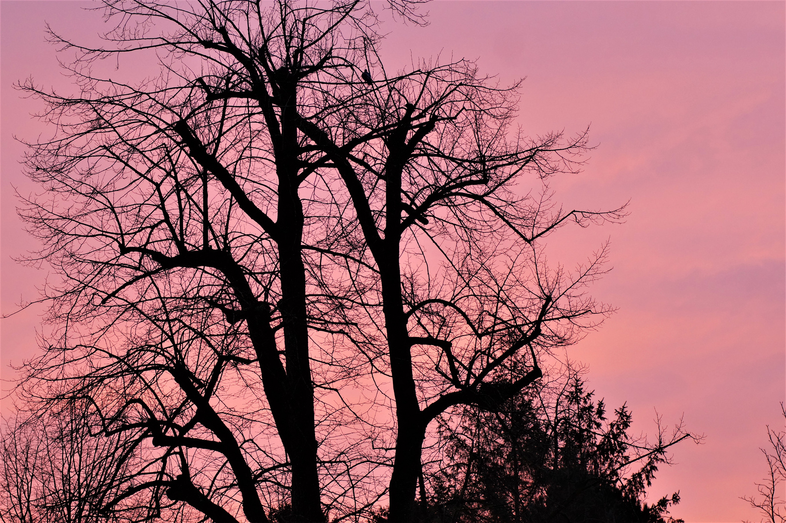 Sonnenaufgang