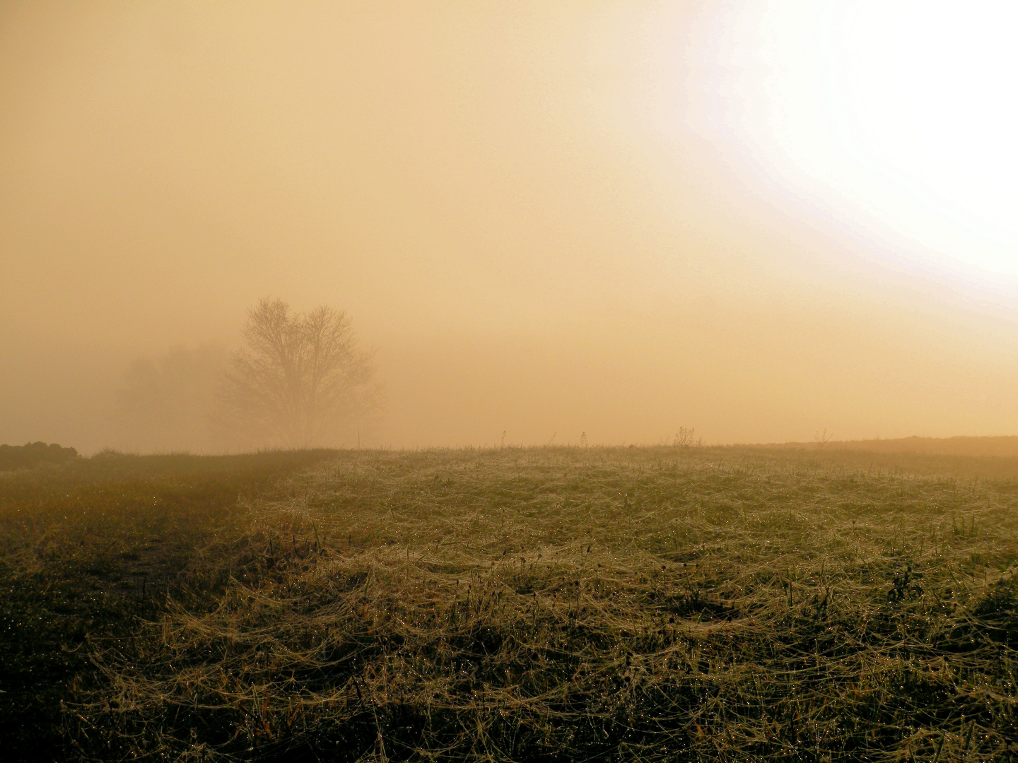 Sonnenaufgang  