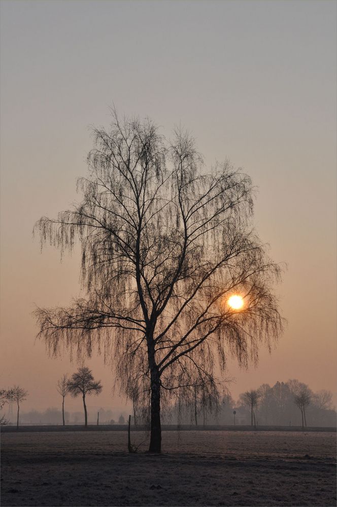 Sonnenaufgang..