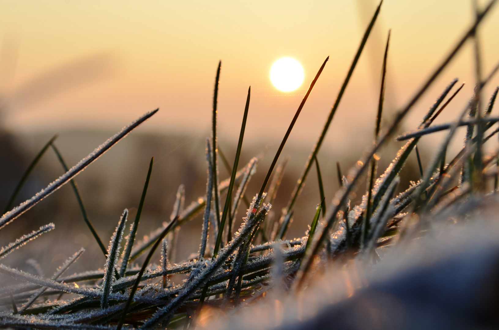 Sonnenaufgang