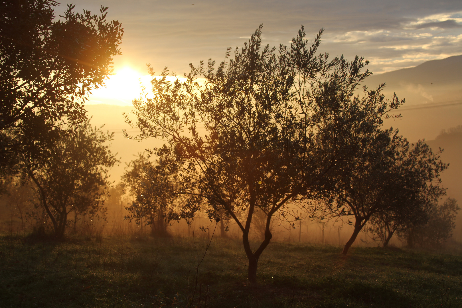 Sonnenaufgang