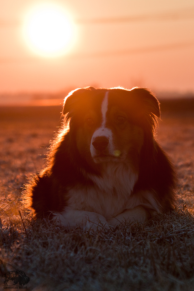 Sonnenaufgang