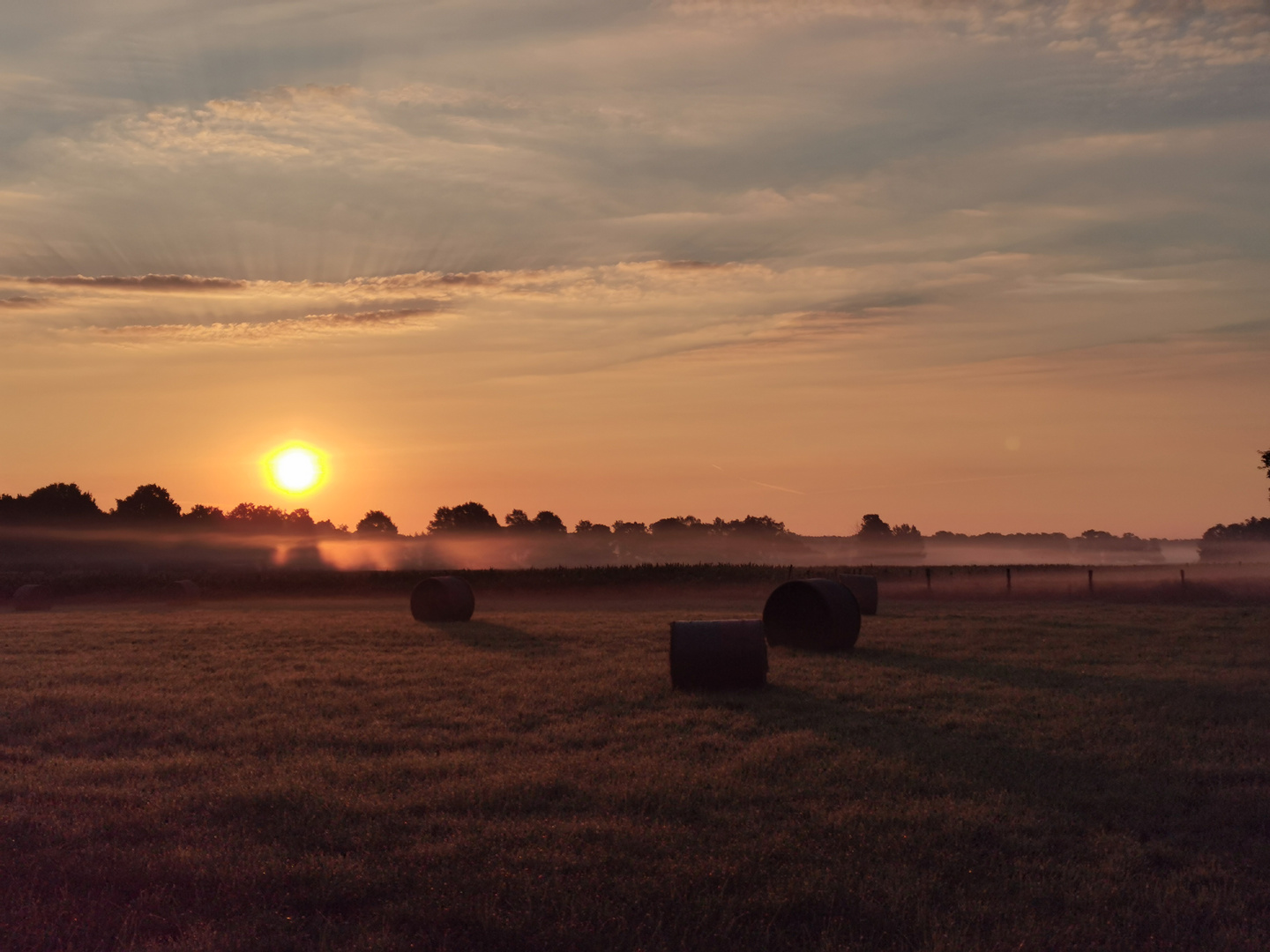 Sonnenaufgang. 