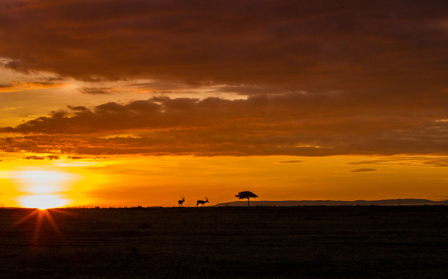 Sonnenaufgang