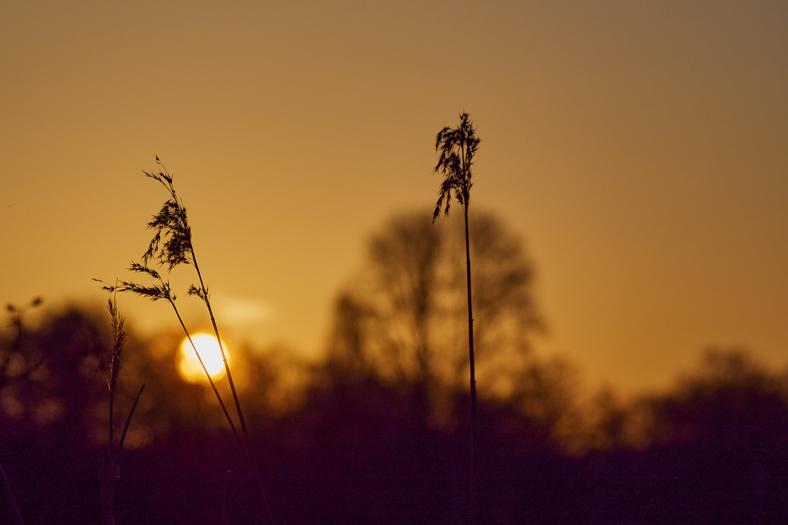 Sonnenaufgang