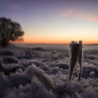 Sonnenaufgang bei -14 grad 