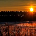 Sonnenaufgang bei -21°C am Koniksee in Masuren