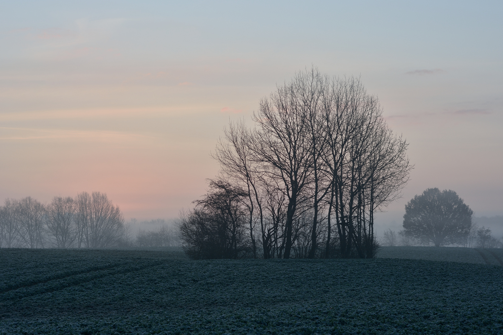 Sonnenaufgang bei Altenholz #4