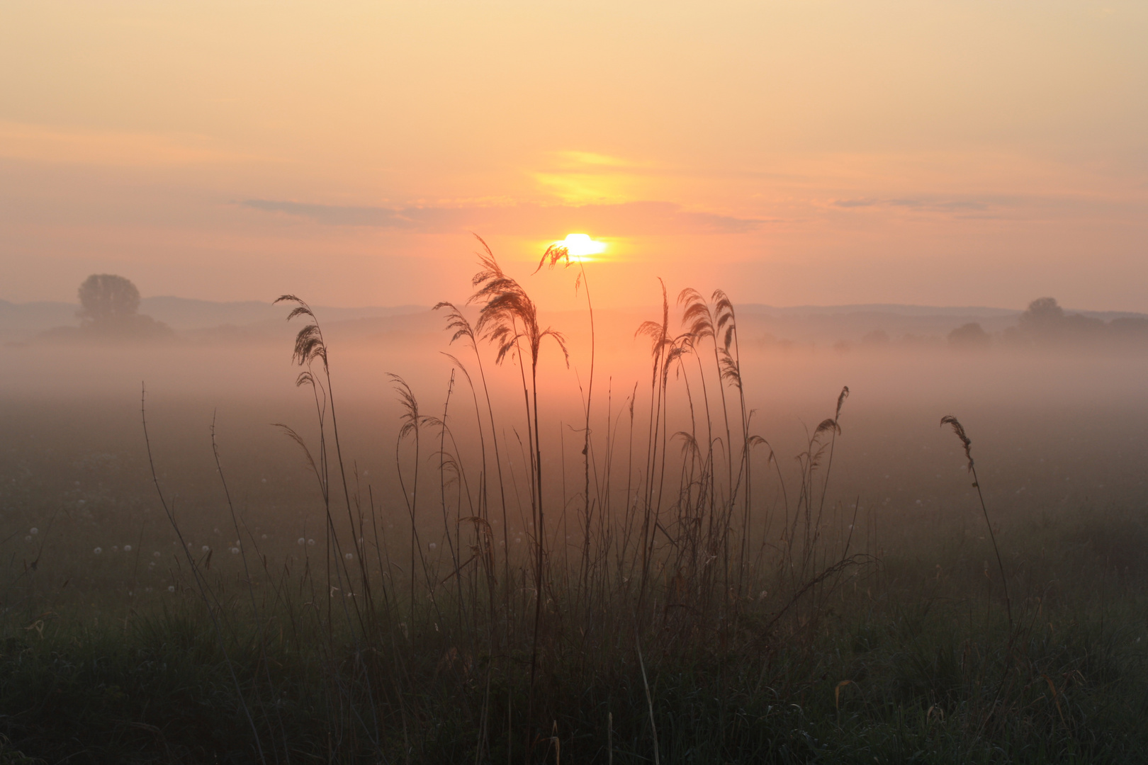 Sonnenaufgang bei Baiersdorf