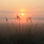 Sonnenaufgang bei Baiersdorf