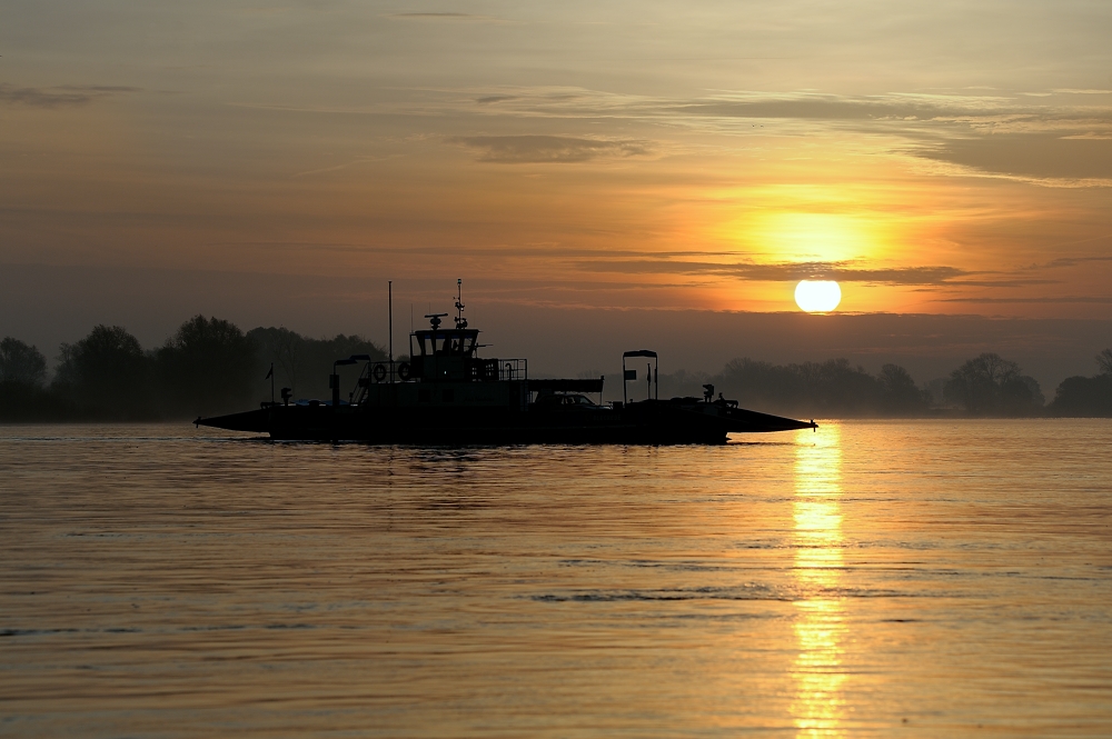 Sonnenaufgang bei Bleckede