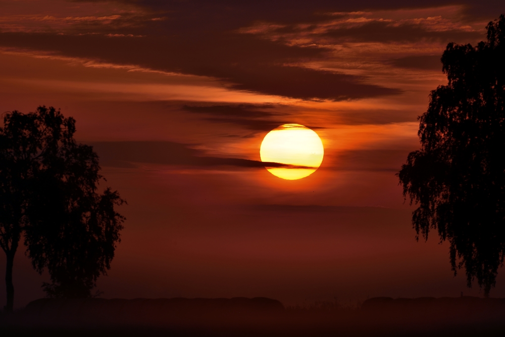 Sonnenaufgang bei Bodennebel