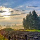 Sonnenaufgang bei Breitenhain nahe Jena