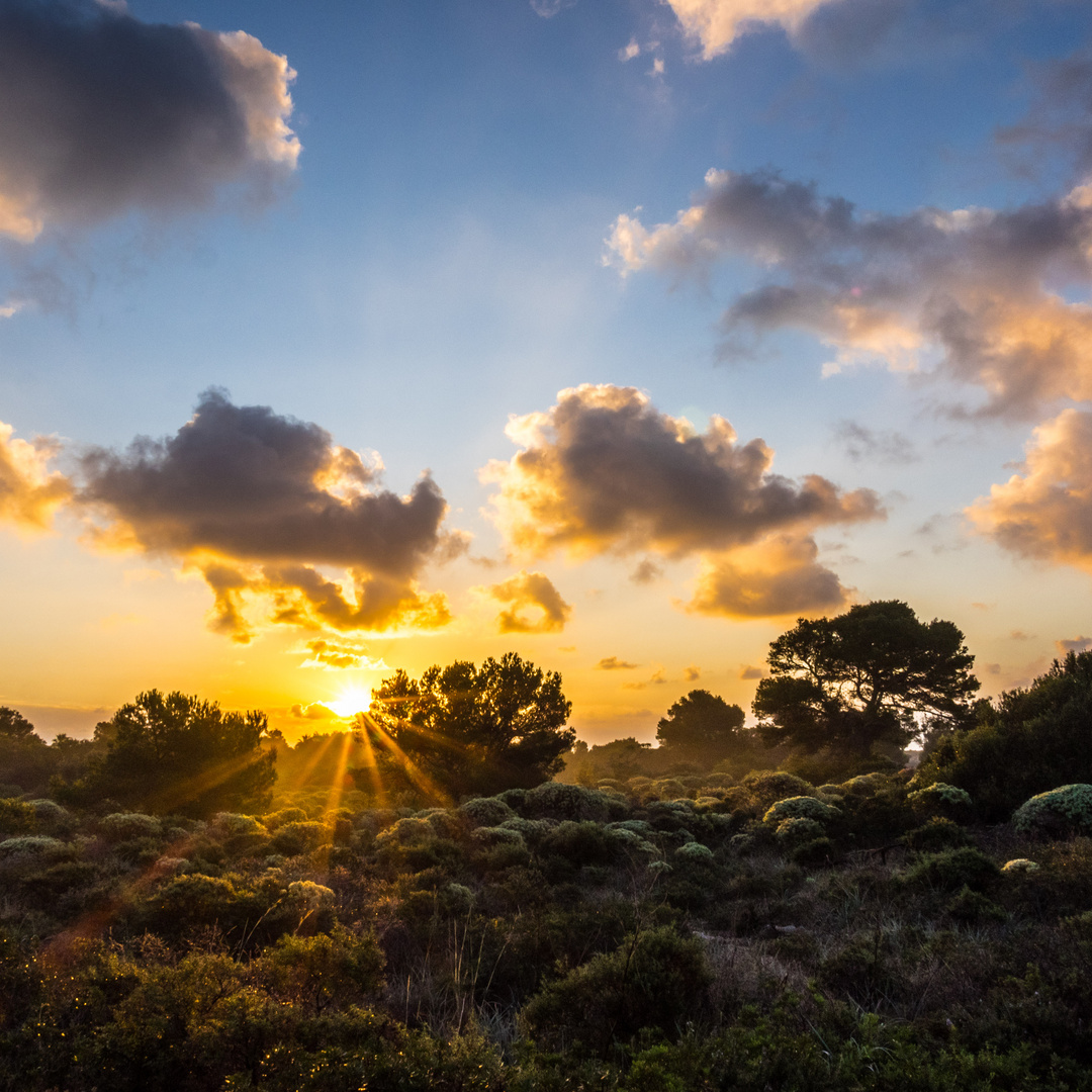 Sonnenaufgang bei Cala Figuera