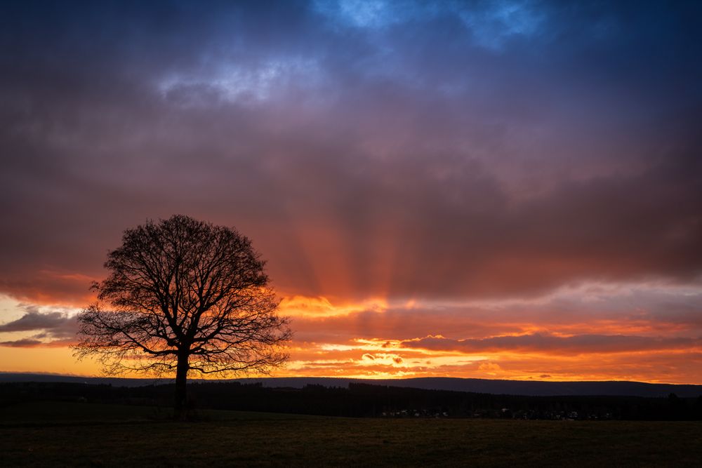 Sonnenaufgang bei Clausthal-Zellerfeld (1)