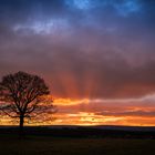 Sonnenaufgang bei Clausthal-Zellerfeld (1)