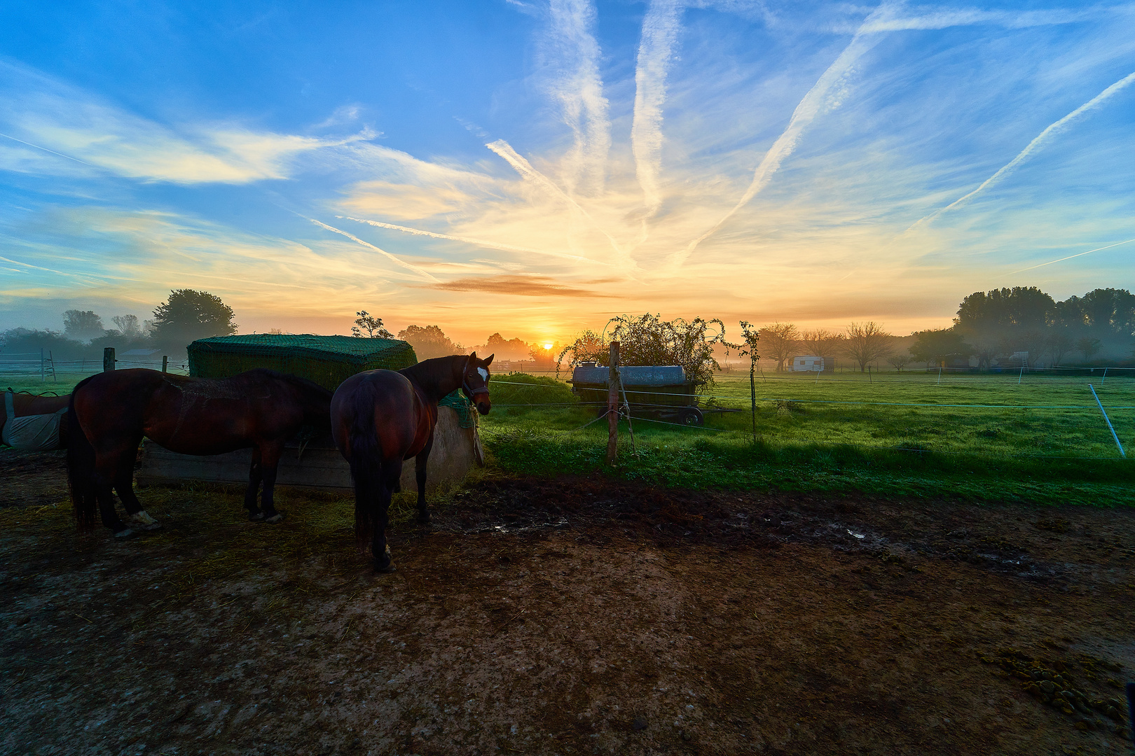 Sonnenaufgang bei den Pferdchen 