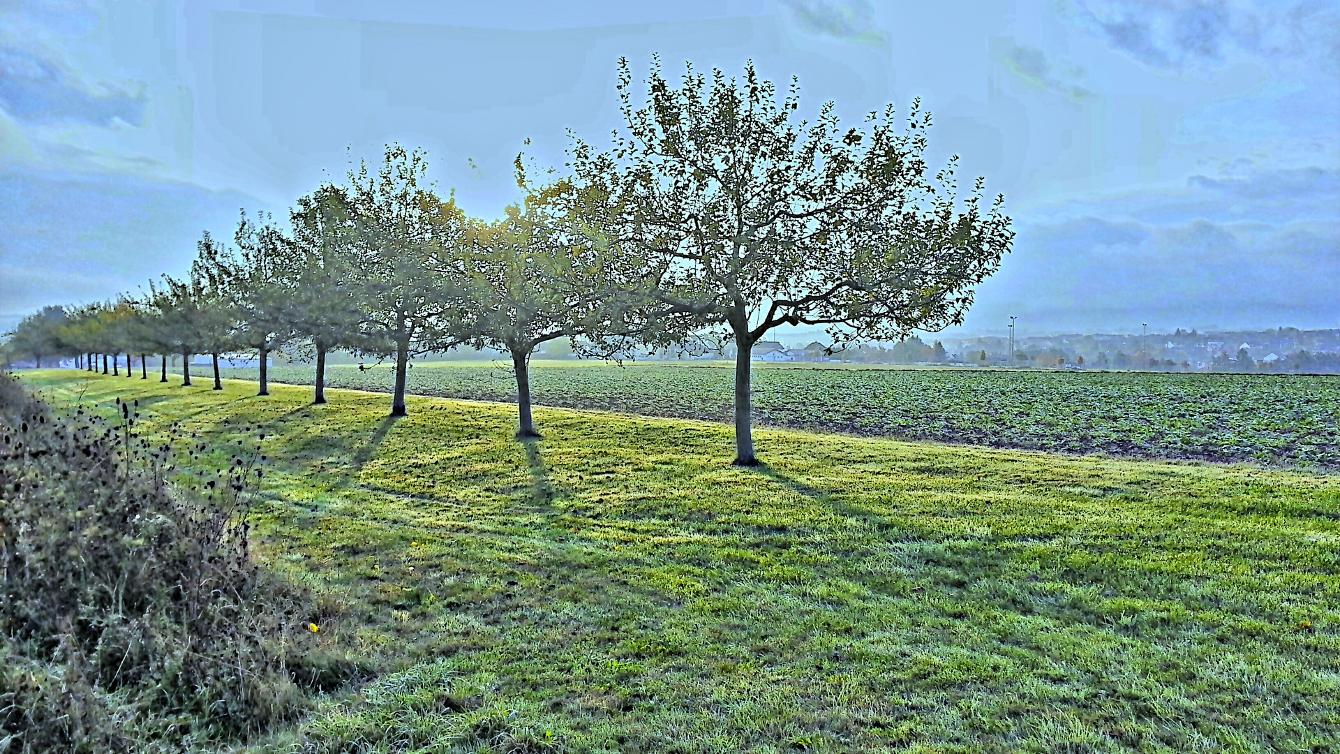 Sonnenaufgang bei den Streuobstwiesen (HDR-Aufnahme)