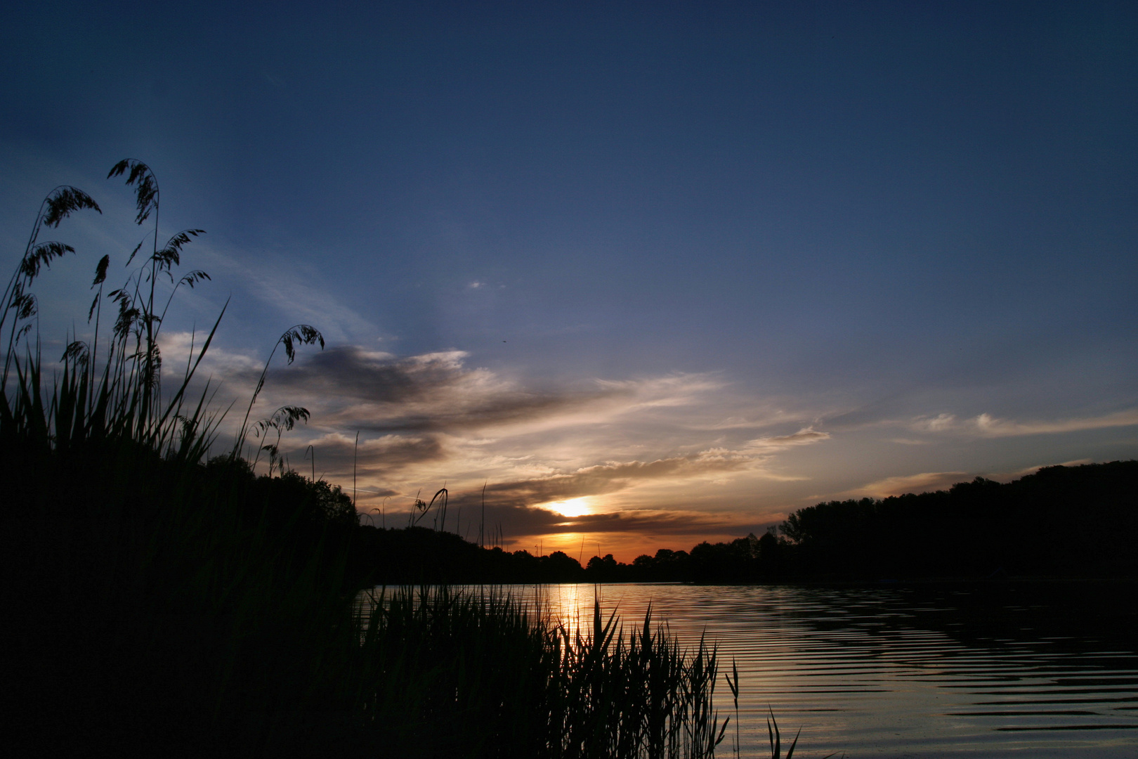 Sonnenaufgang bei den Waldteichfreunden / Dresden