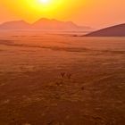 Sonnenaufgang bei der Düne 40, Namibia 2011