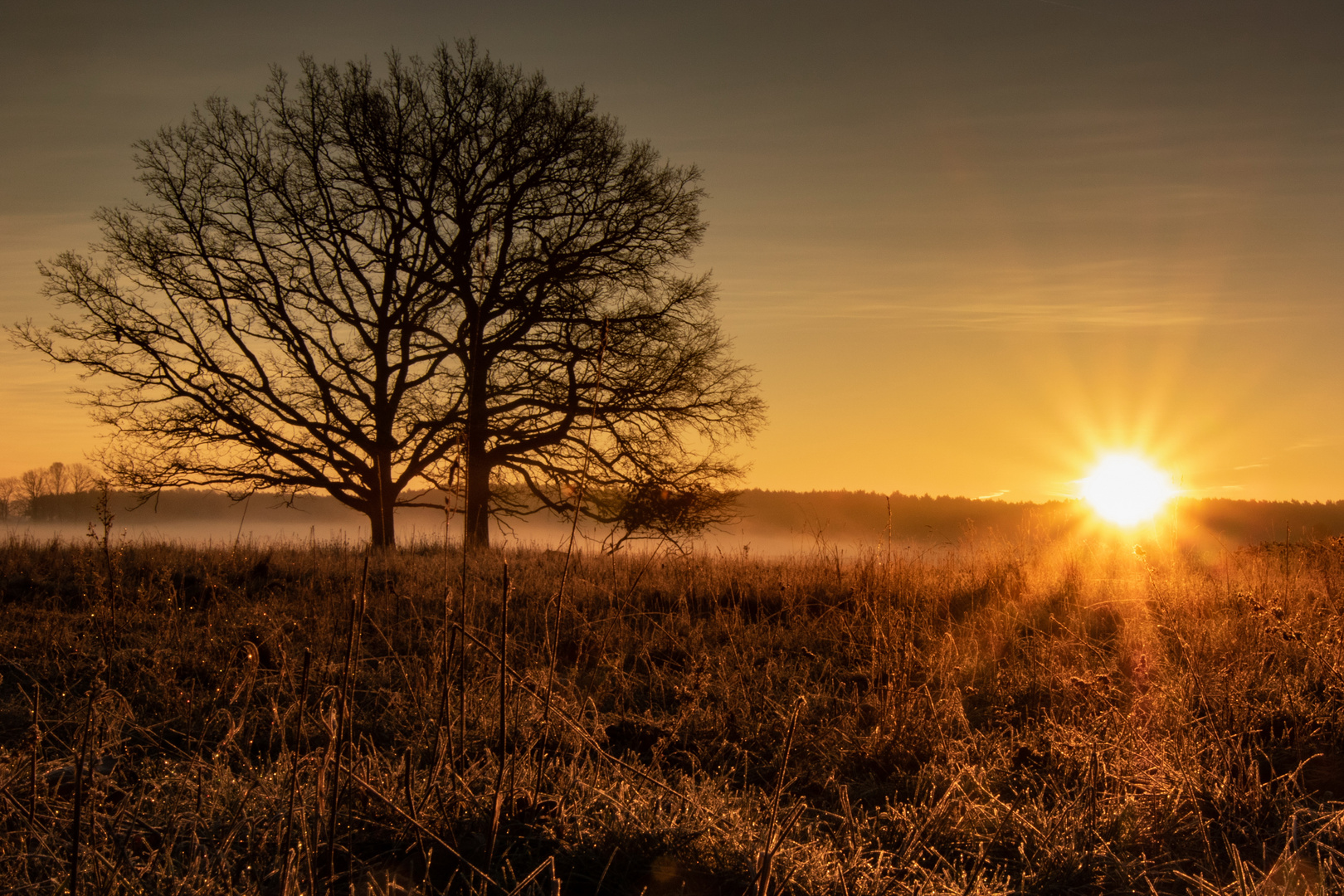 Sonnenaufgang bei Dierberg (Ruppiner Land)