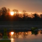 Sonnenaufgang bei einer überfluteten Wiese