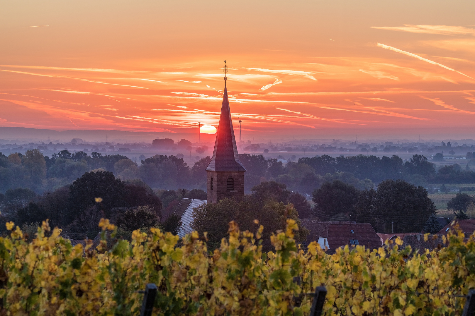 Sonnenaufgang bei Forst