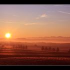 Sonnenaufgang bei Friedrichshafen