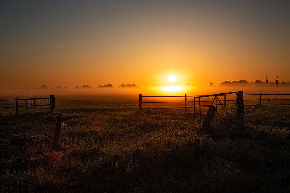 Sonnenaufgang bei Friedrichsmoor