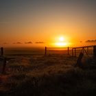 Sonnenaufgang bei Friedrichsmoor