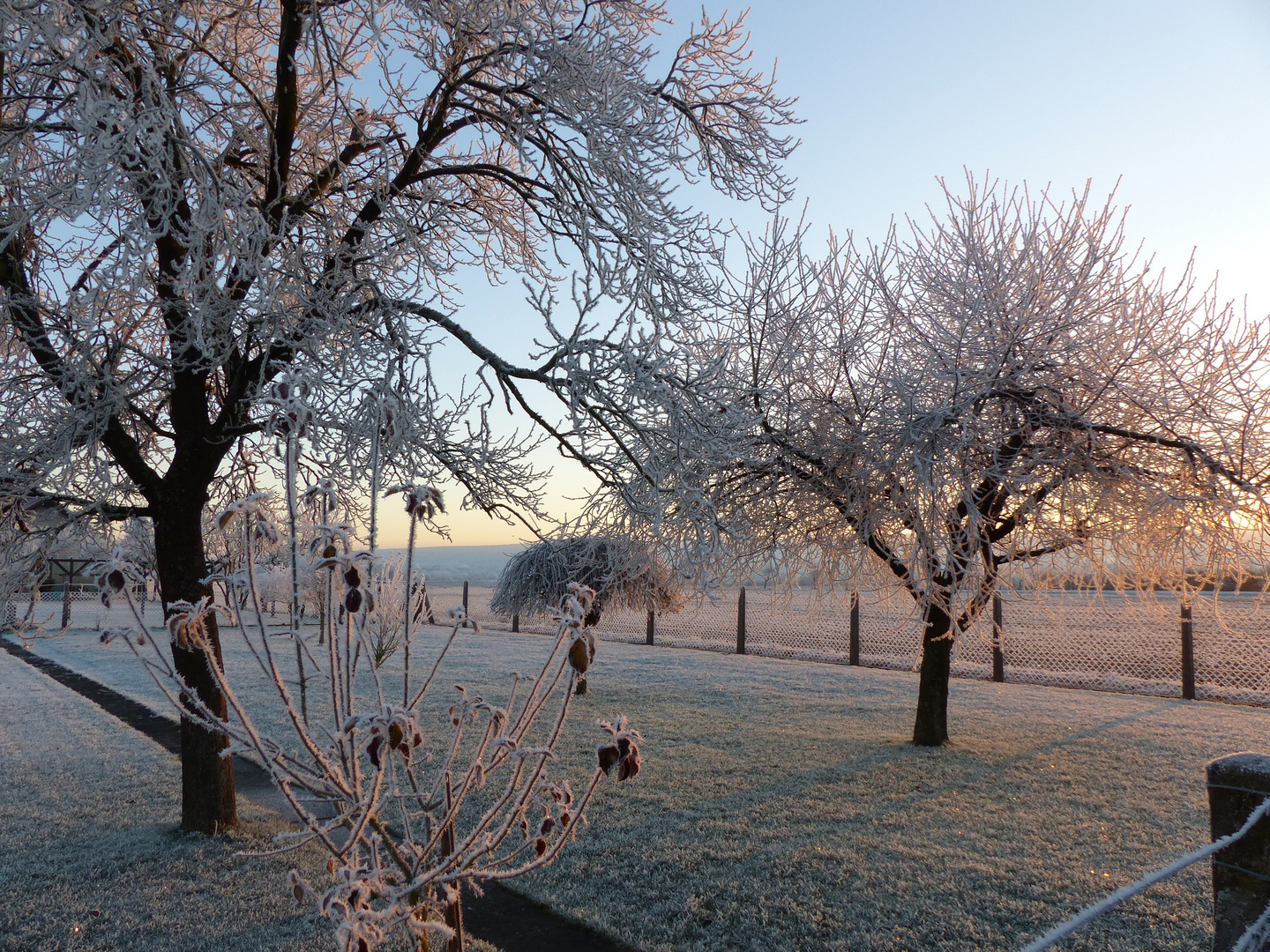 Sonnenaufgang bei frostigen Temperaturen - Blickrichtung Solling