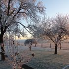 Sonnenaufgang bei frostigen Temperaturen - Blickrichtung Solling