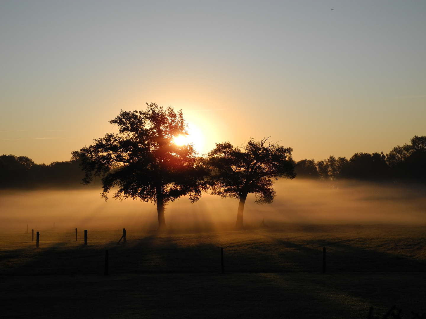 Sonnenaufgang bei Frühnebel