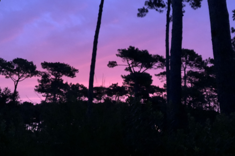 Sonnenaufgang bei Gewitter