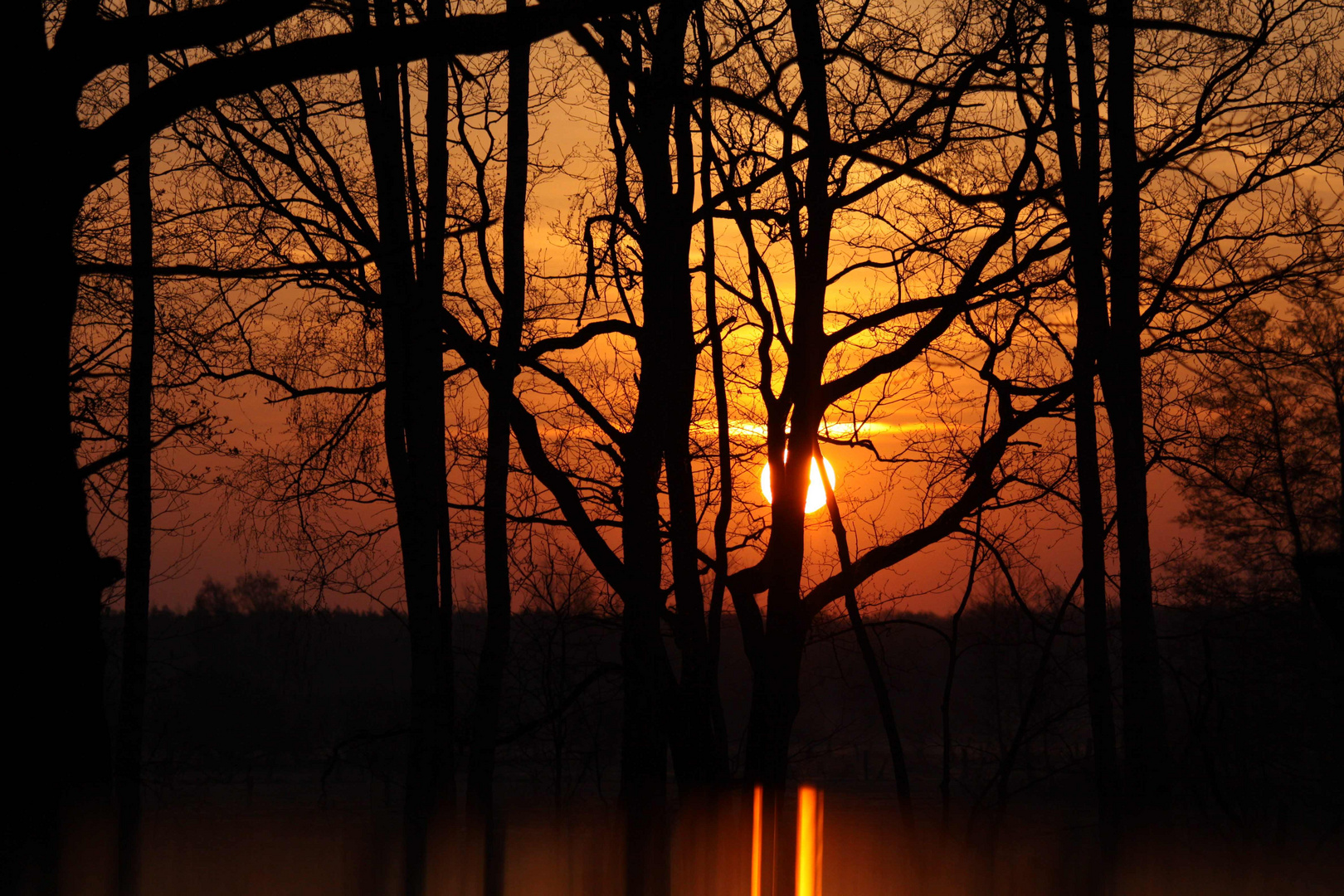 Sonnenaufgang bei Gifhorn