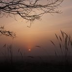 Sonnenaufgang bei Gifhorn II