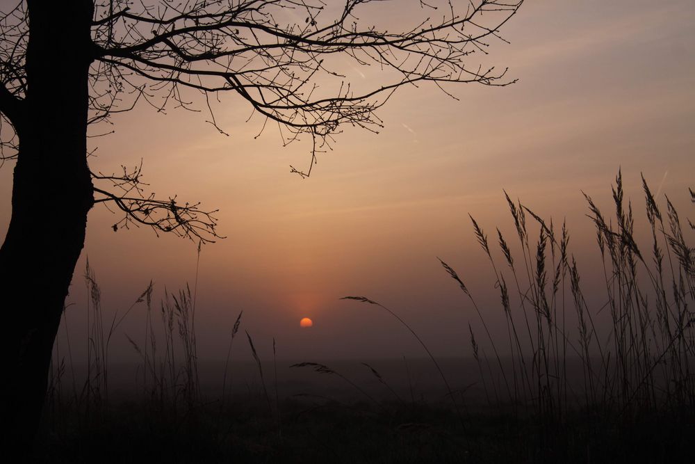 Sonnenaufgang bei Gifhorn II