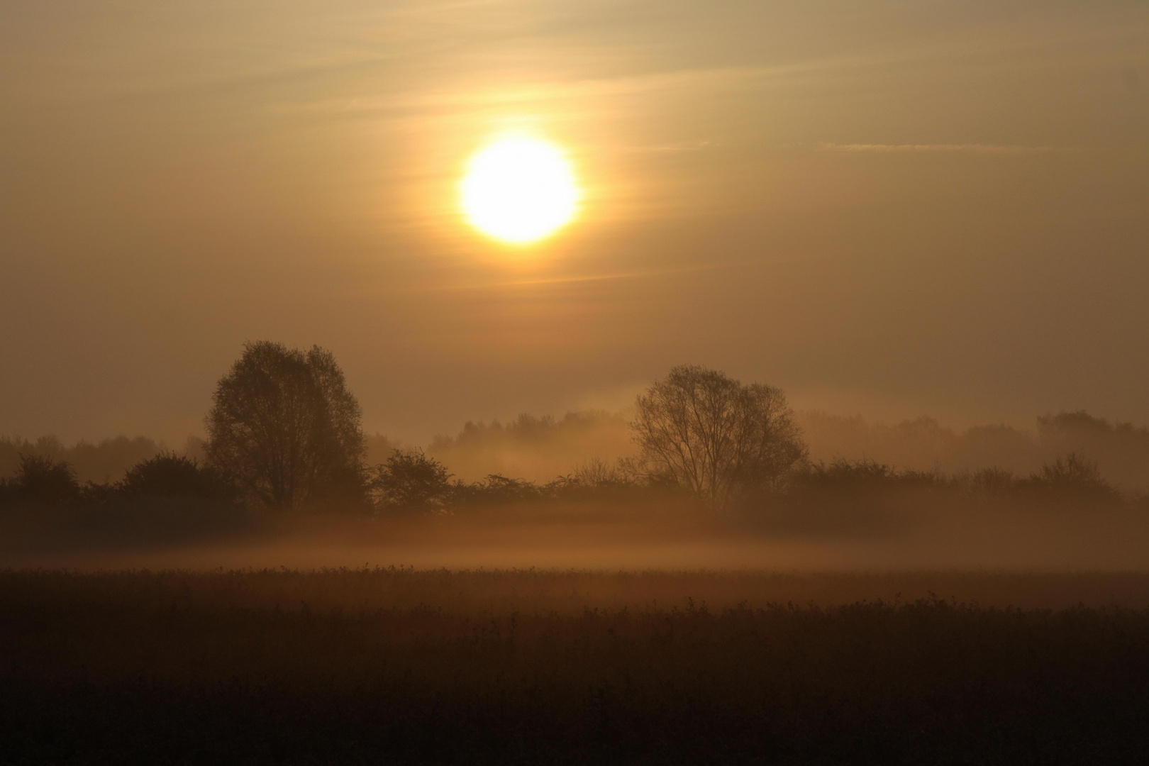 Sonnenaufgang bei Gifhorn III