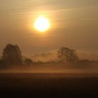 Sonnenaufgang bei Gifhorn III