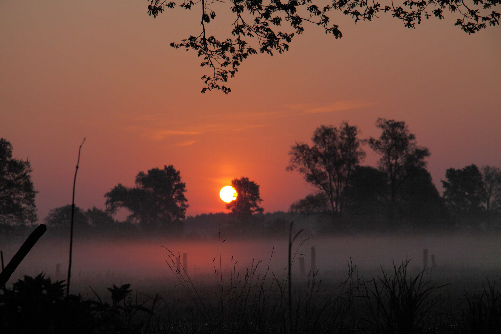 Sonnenaufgang bei Gifhorn V