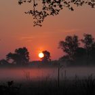 Sonnenaufgang bei Gifhorn V