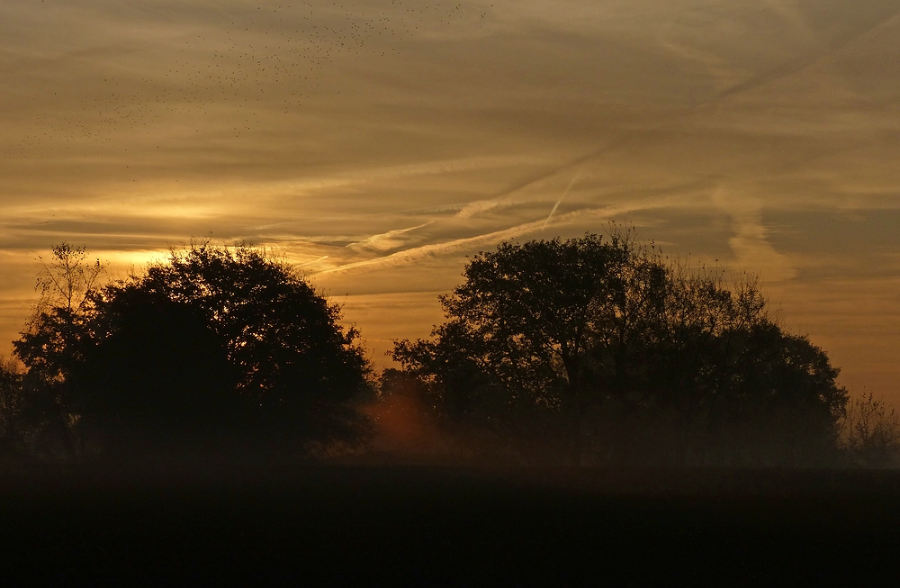 Sonnenaufgang bei Gildehaus