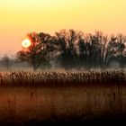 Sonnenaufgang bei Glentorf