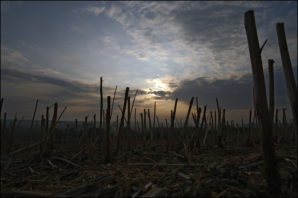 Sonnenaufgang bei Hagenburg (4)